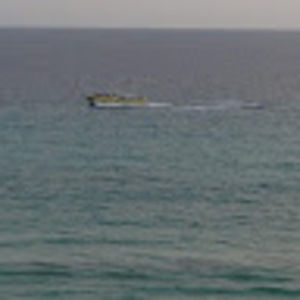 Meet your Posher, Billy